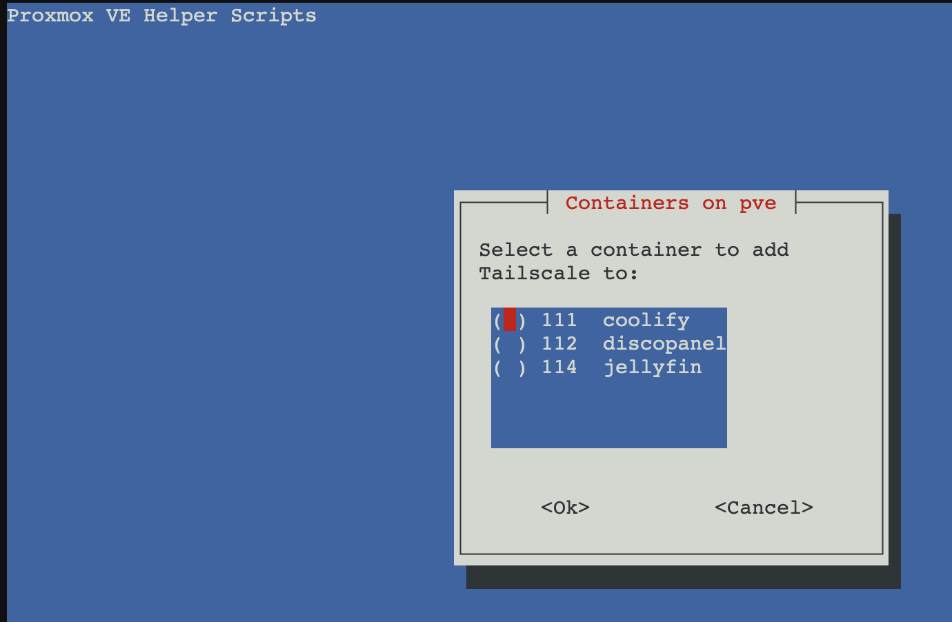 Screenshot da configuração Tailscale