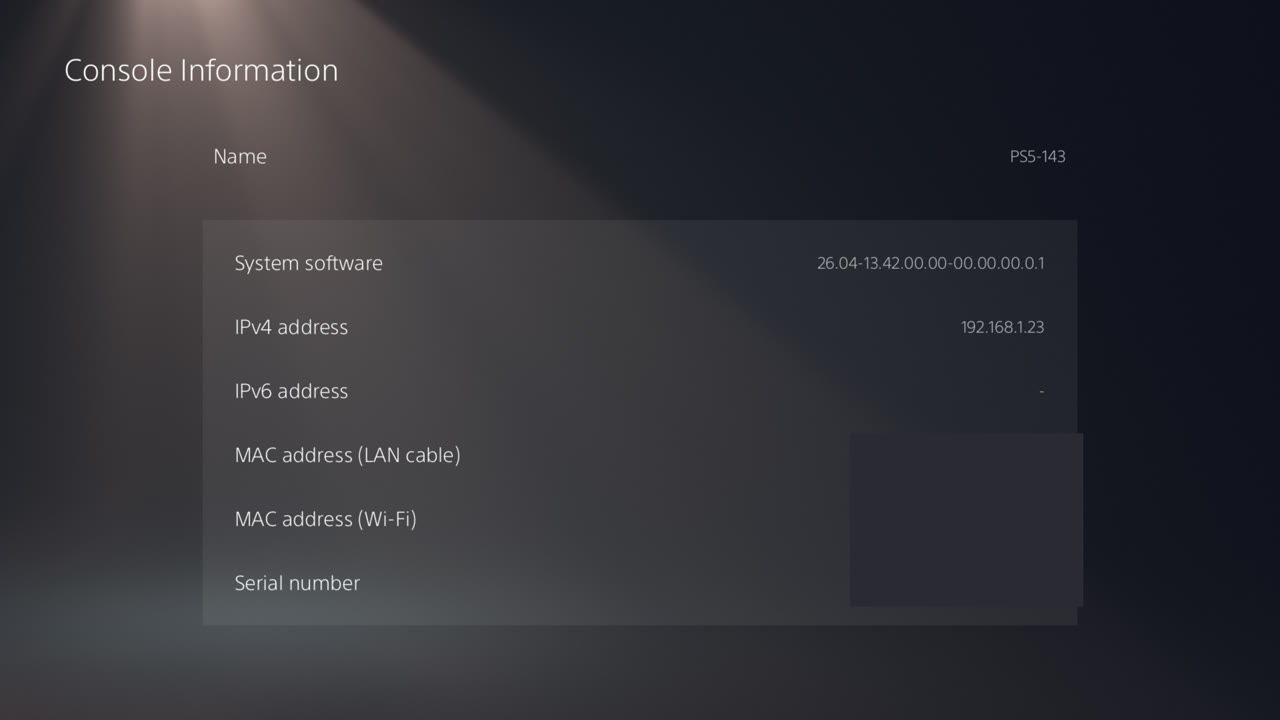 Informações do console com o endereço IPv4